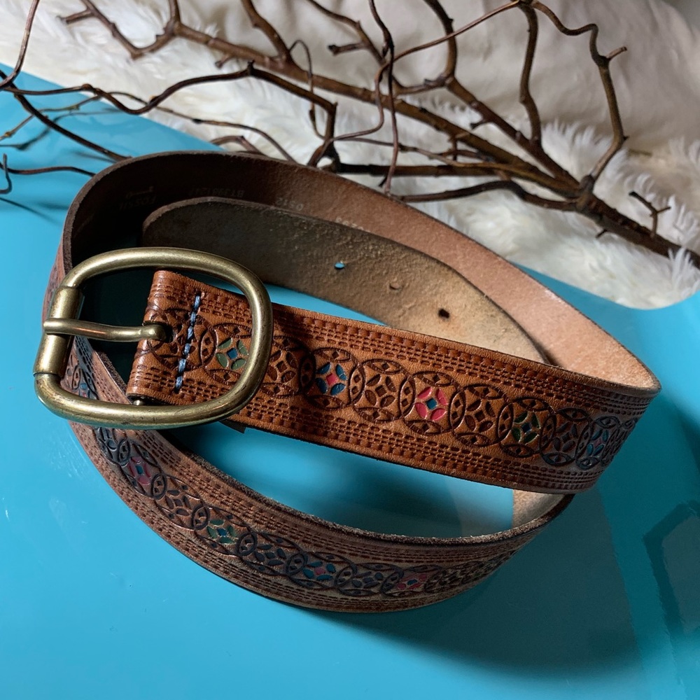 Fossil belt